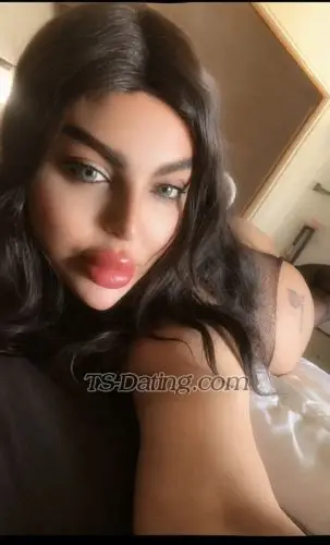 Shemale Razanz 1947142 Shemale Razanz 1947142
