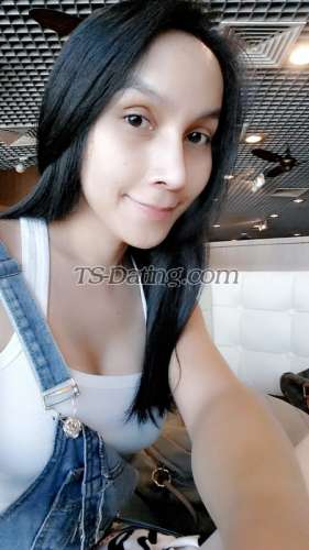 trans girl sofia 3312385 trans girl sofia 3312385